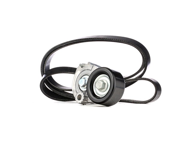 RIDEX 542R0100 Poly V-riem set OPEL Astra G CC (T98) 103 Pk Benzine/Autogas (LPG) kosten
