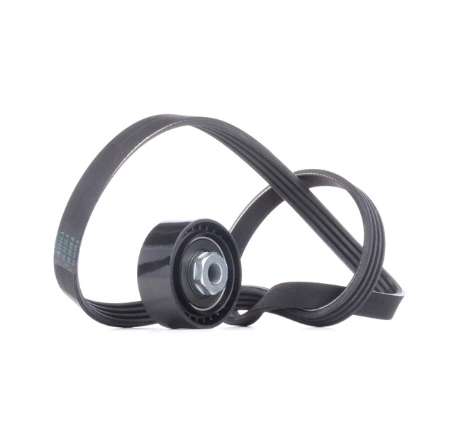 RIDEX 542R0101 Poly V-riem set RENAULT TWINGO 1 (C06) 58 Pk Benzine kosten