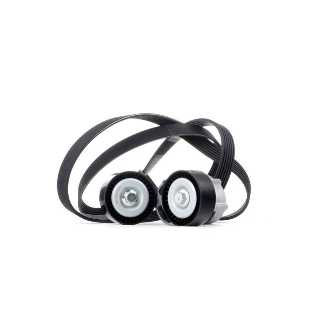 RIDEX 542R0110 Комплект пистов ремък BMW 3 (E90) 234 K.C. бензин цена