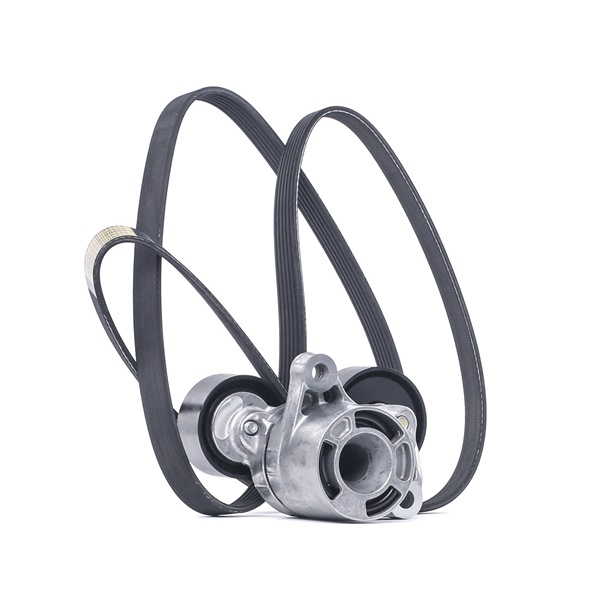 RIDEX 542R0121 Комплект пистов ремък BMW 5 Седан (F10) 258 K.C. дизел цена