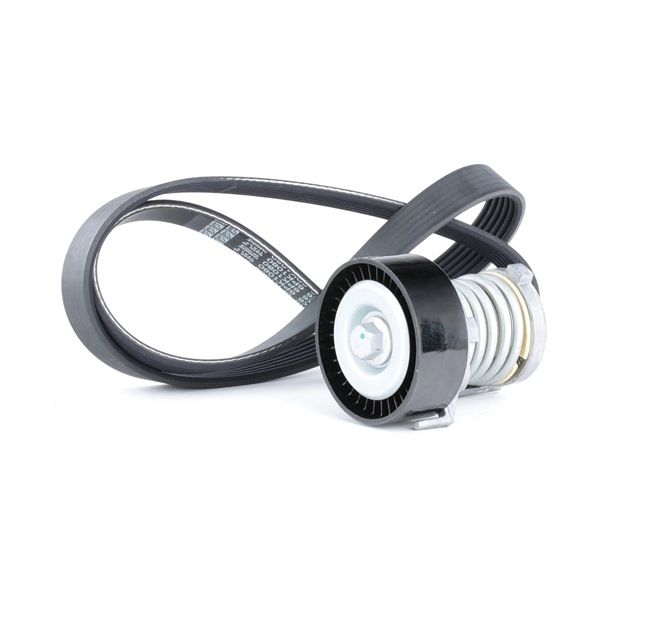 RIDEX 542R0134 Poly V-riem set SKODA FELICIA 1 (6U1) 75 Pk Benzine kosten
