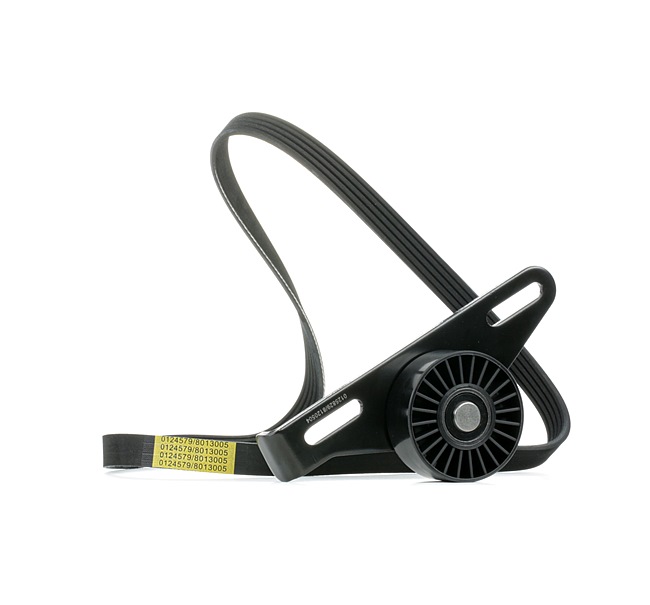 STARK SKRBS-1200137: Set curea transmisie cu caneluri
