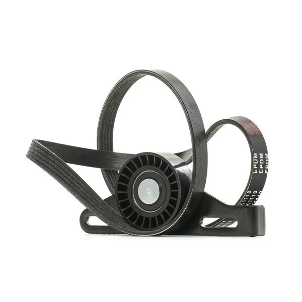 RIDEX 542R0138 Jogo de correias trapezoidais estriadas RENAULT CLIO 2 (BB0/1/2, CB0/1/2) 117 cv Gasolina/etanol custo