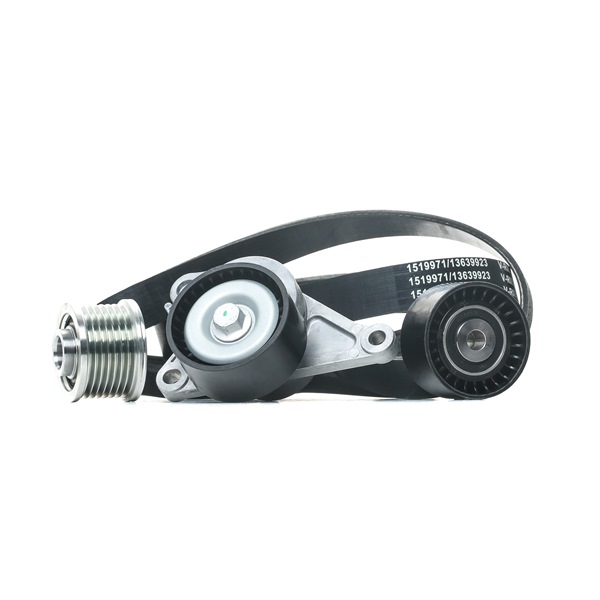 RIDEX 542R0141: Moniurahihnasarja