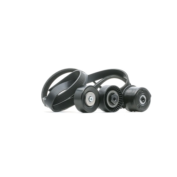 RIDEX 542R0144 Комплект пистов ремък BMW 7 (E65, E66, E67) 231 K.C. дизел цена