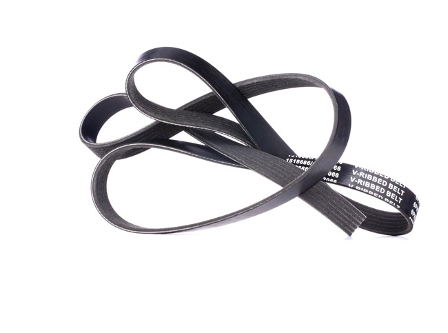 RIDEX 305P0402: Multireim 1845mm, Ribbeantall: 6
