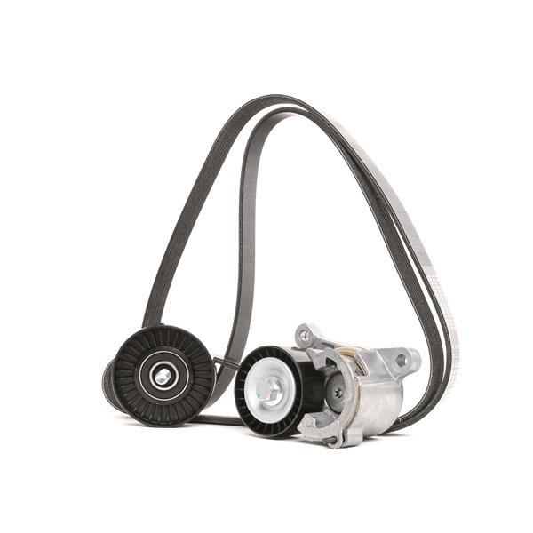 RIDEX 542R0154 Keilrippenriemensatz CITROЁN C5 II Break (RE_) 116 PS Benzin Kosten