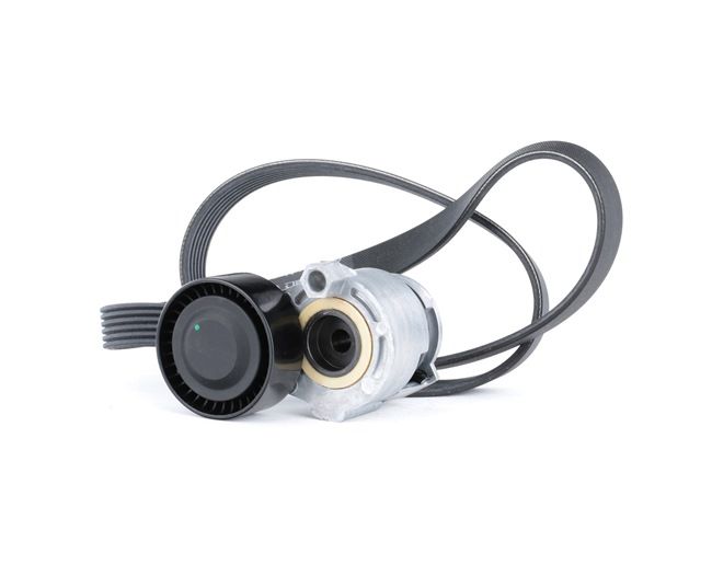 RIDEX 542R0170 Kit Cinghie Poly-V RENAULT MODUS / GRAND MODUS (F/JP0_) 112 CV Benzina costo