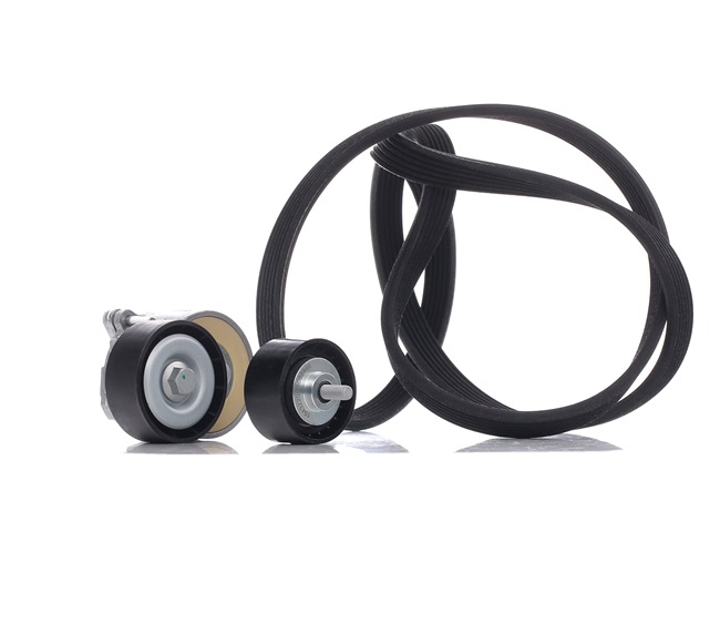 RIDEX 542R0175 Juego de correas trapeciales poli V BMW 5 Sedán (E60) 163 cv Gasóleo costo