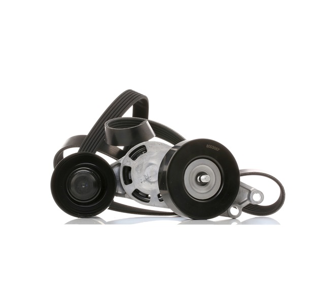 STARK SKRBS-1200182: Set curea transmisie cu caneluri