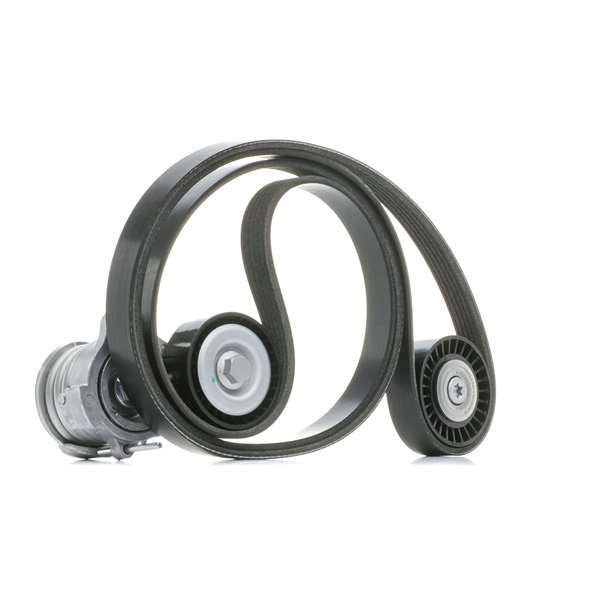 RIDEX 542R0186 Σετ ιμάντων poly-V VAUXHALL Antara (L07) 150 PS Πετρέλαιο κόστος