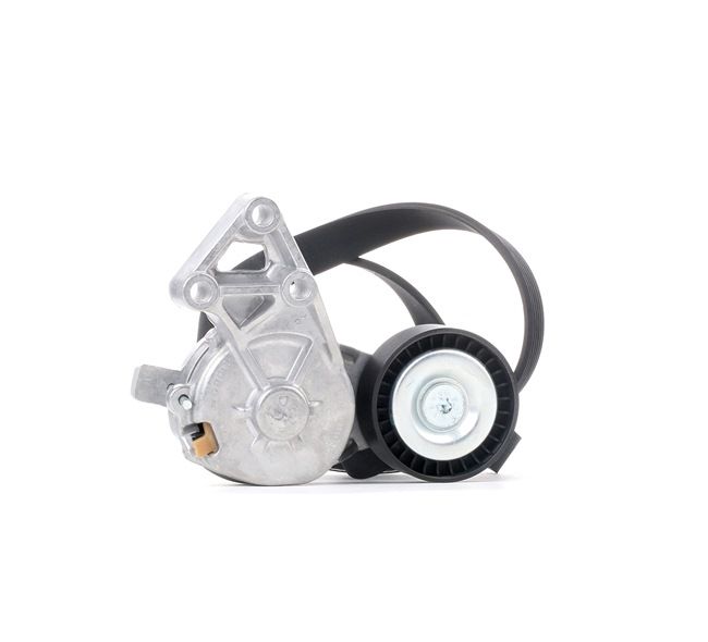 RIDEX 542R0193 Keilrippenriemensatz VW Multivan 5 (7HM 2.0 115 PS Benzin