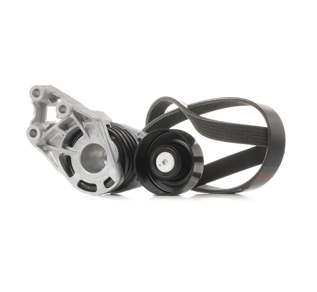 RIDEX 542R0195 Poly V-riem set AUDI A2 (8Z0) 90 Pk Diesel kosten