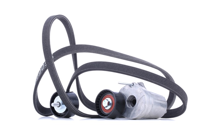 RIDEX 542R0202 Комплект пистов ремък BMW 3 (E90) 204 K.C. дизел цена