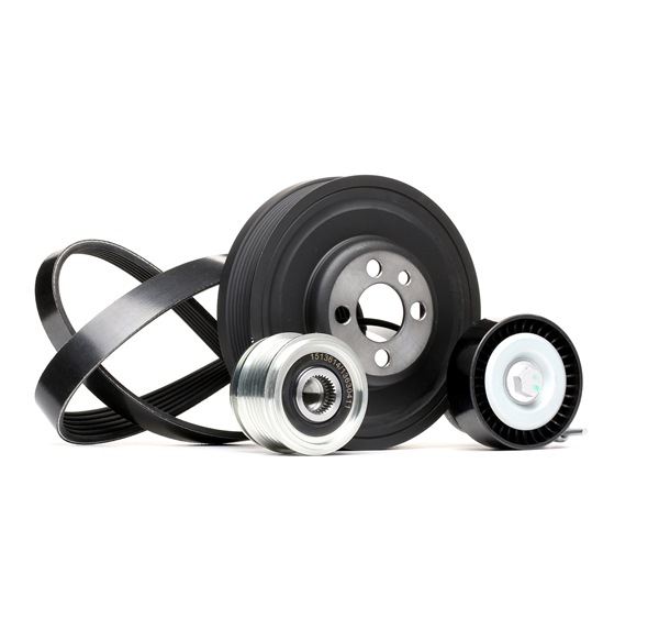 RIDEX 542R0203 Keilrippenriemensatz VW TOURAN (1T3) 2.0 TDI 110 PS Diesel
