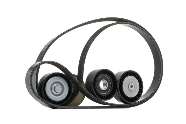 RIDEX 542R0206 Комплект пистов ремък ALFA ROMEO 159 Sportwagon (939) 150 K.C. дизел цена