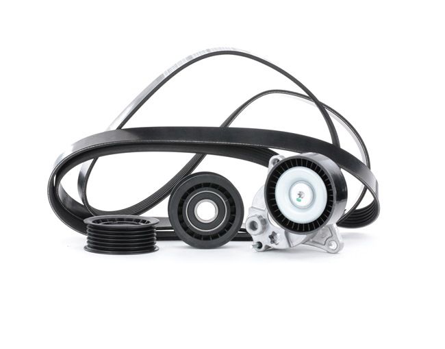 RIDEX 542R0210 Σετ ιμάντων poly-V MERCEDES-BENZ E-class Φορτηγό πλατφόρμα / Σασσί (VF210) 170 PS Πετρέλαιο κόστος