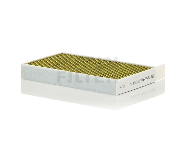MANN-FILTER FP 25 015 Filter vnútorného priestoru TESLA Model 3 (5YJ3) 462 KS Elektro cena