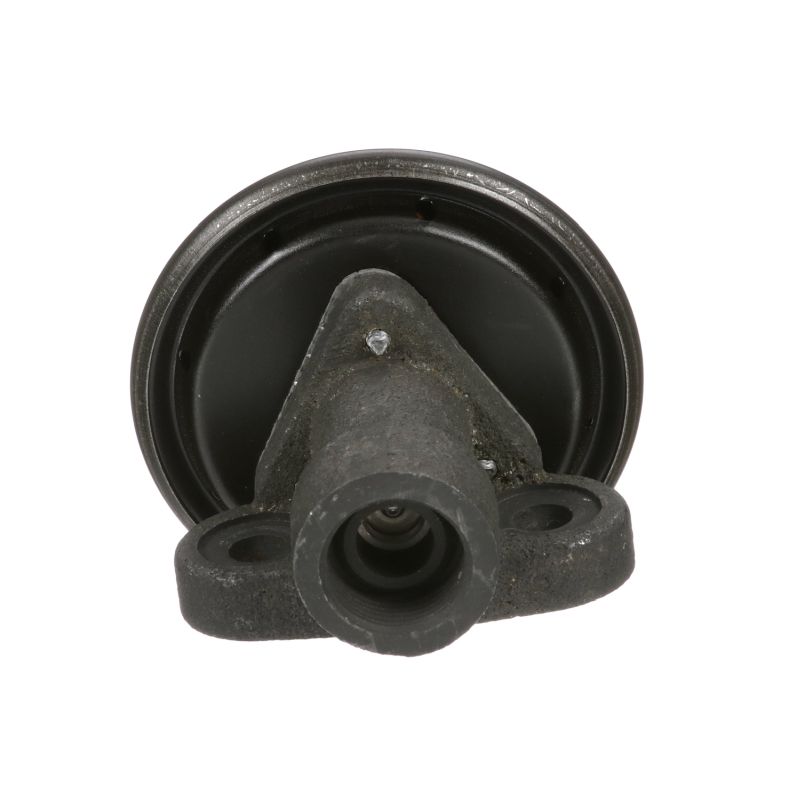 DELPHI EG10244-11B1: Zawór EGR