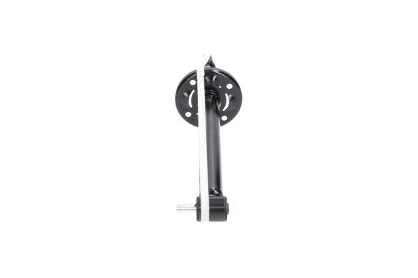 KAVO PARTS SSA-10019: Amortiguador Eje trasero, Presión de gas, Amortiguador con asiento de muelle