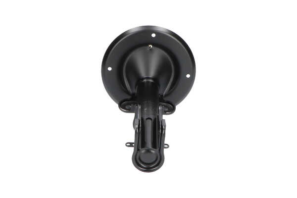 KAVO PARTS SSA-10042: Amortiguador Eje delantero, Presión de gas, Columna de amortiguador