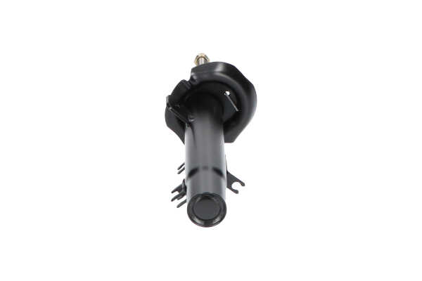 KAVO PARTS SSA-10056: Amortiguador Eje delantero, izquierda, Presión de gas, Amortiguador con muelle de tope