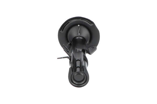 KAVO PARTS SSA-10099: Amortiguador Eje delantero, derecha, Presión de gas, Columna de amortiguador