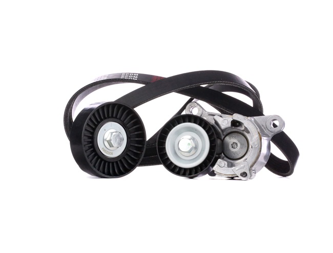 STARK SKRBS-1200213: Poly V-riem set