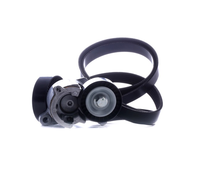RIDEX 542R0214 Keilrippenriemensatz CITROЁN C5 II Break (RE_) 116 PS Benzin Kosten