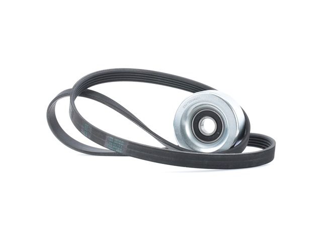 RIDEX 542R0215: Jeu de courroies trapézoïdales à nervures