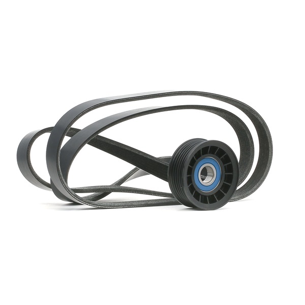 RIDEX 542R0217 Комплект пистов ремък FORD C-MAX (DM2) 145 K.C. бензин цена