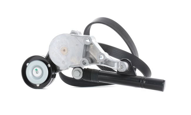 STARK SKRBS-1200222: Poly V-riem set