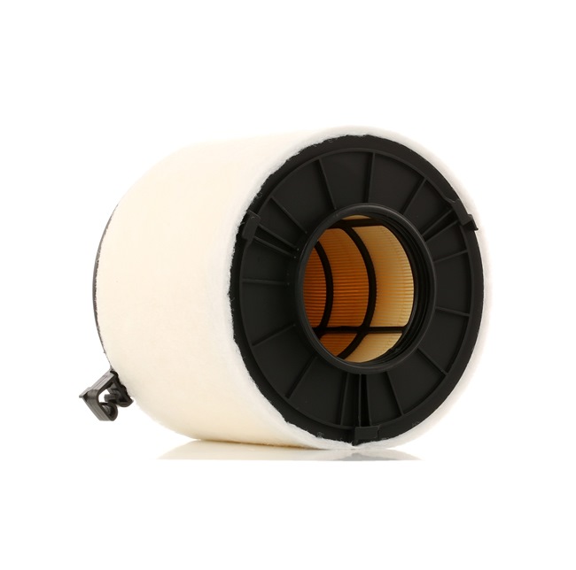 RIDEX 8A0812: Filtro de aire