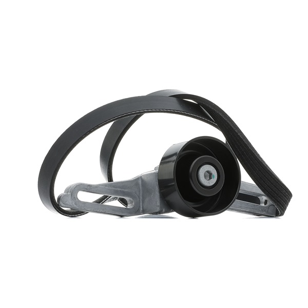 RIDEX 542R0242 Poly V-riem set PEUGEOT 106 I (1A, 1C) 88 Pk Benzine kosten