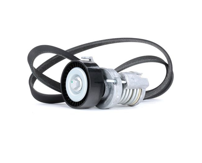 RIDEX 542R0248 Poly V-riem set SKODA FELICIA 1 (6U1) 75 Pk Benzine kosten