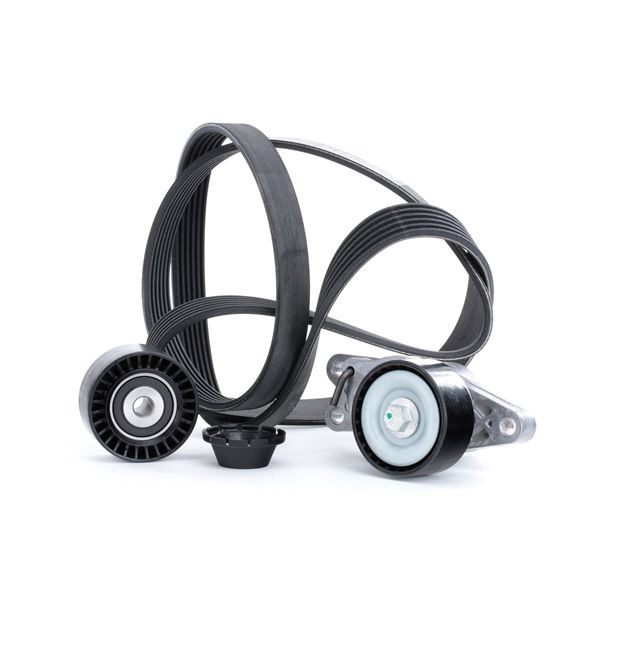 RIDEX 542R0251: Moniurahihnasarja