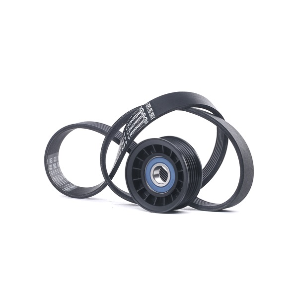 RIDEX 542R0269 Σετ ιμάντων poly-V FORD C-Max 2 (DXA/CB7, DXA/CEU) 120 PS Βενζίνη κόστος