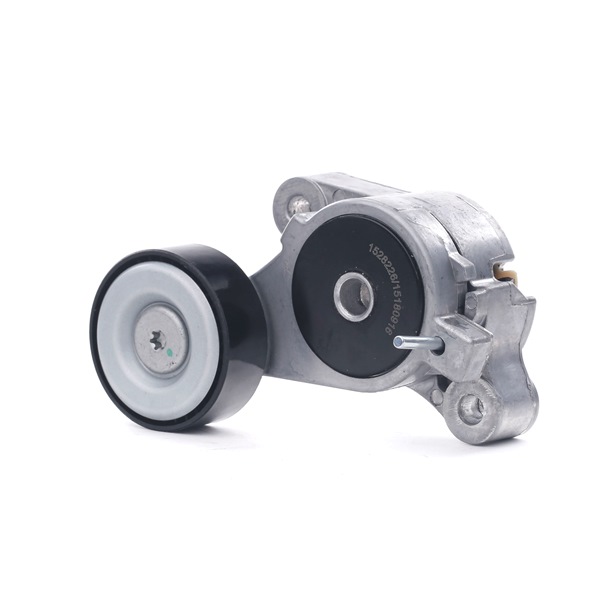 RIDEX 310T0309 Feszítőgörgő, hosszbordás szíj VOLKSWAGEN Jetta 3 (1K2) 170 LE Benzin ár