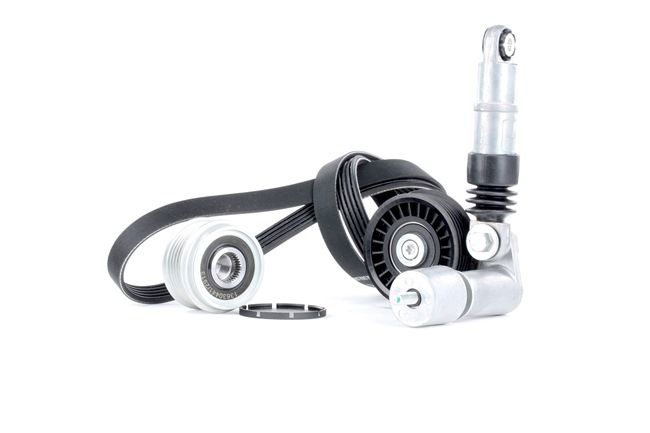 RIDEX 542R0271 Kit Cinghie Poly-V VOLKSWAGEN PASSAT Variant (3B5) 115 CV Diesel costo