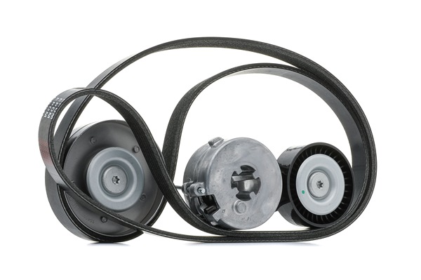 RIDEX 542R0277 Σετ ιμάντων poly-V AUDI A4 Avant (8K5, B8) 160 PS Βενζίνη κόστος
