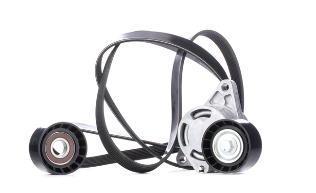 RIDEX 542R0282 Poly V-riem set OPEL Vivaro A Flatbed Vrachtwagen / Chassis (X83) 146 Pk Diesel kosten