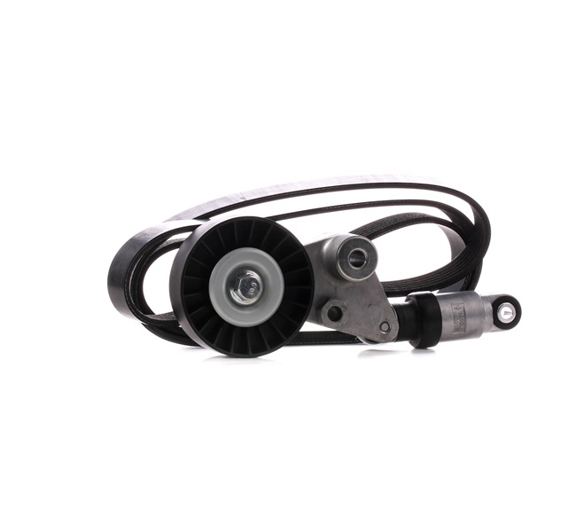 STARK SKRBS-1200282: Poly V-riem set