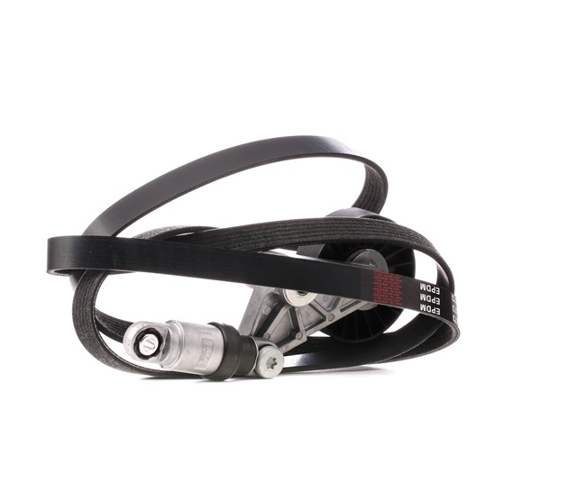STARK SKRBS-1200286: Poly V-riem set