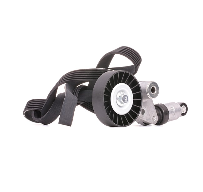 RIDEX 542R0287 Poly V-riem set OPEL Astra G CC (T98) 82 Pk Diesel kosten