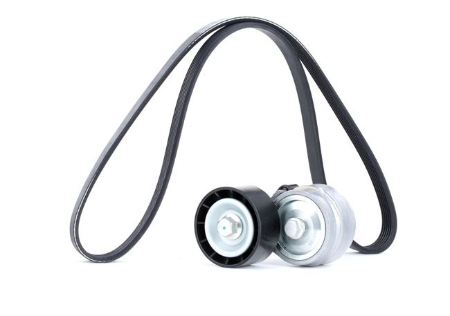 RIDEX 542R0295 Poly V-riem set ALFA ROMEO 147 (937) 110 Pk Diesel kosten