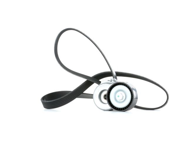 STARK SKRBS-1200298 Kit Cinghie Poly-V LANCIA YPSILON (843) 70 CV Diesel costo