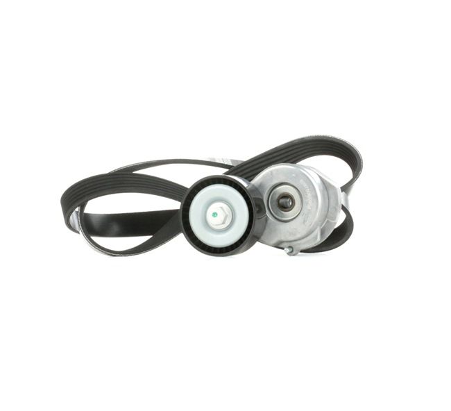 RIDEX 542R0299 Kit Cinghie Poly-V LANCIA YPSILON (843) 70 CV Diesel costo