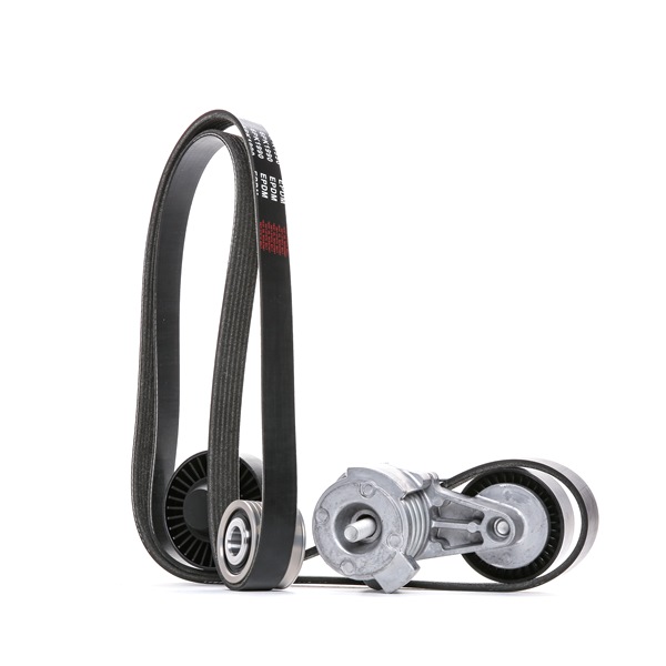 RIDEX 542R0309 Комплект пистов ремък BMW 7 (E65, E66, E67) 250 K.C. бензин цена