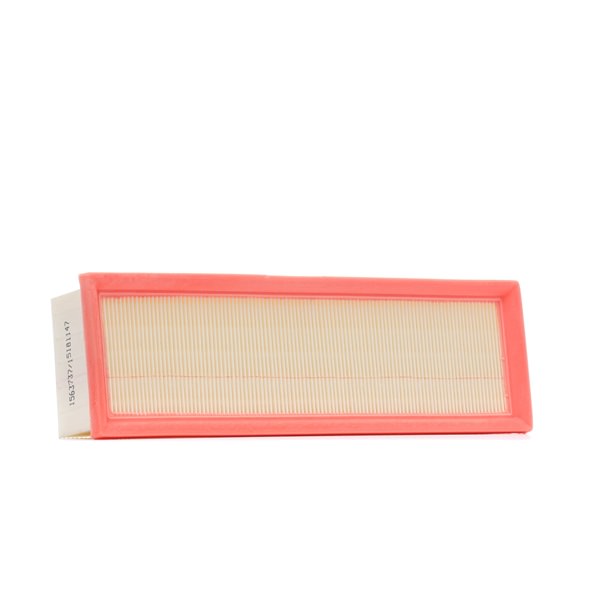 RIDEX 8A0897: Gaisa filtrs
