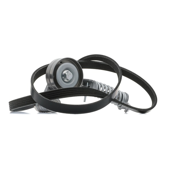 RIDEX 542R0313: Kileremsett